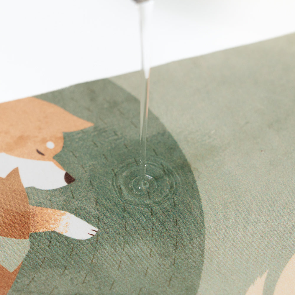 Washable & Reusable