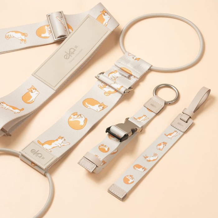 Traveler’s Must-Have Set A