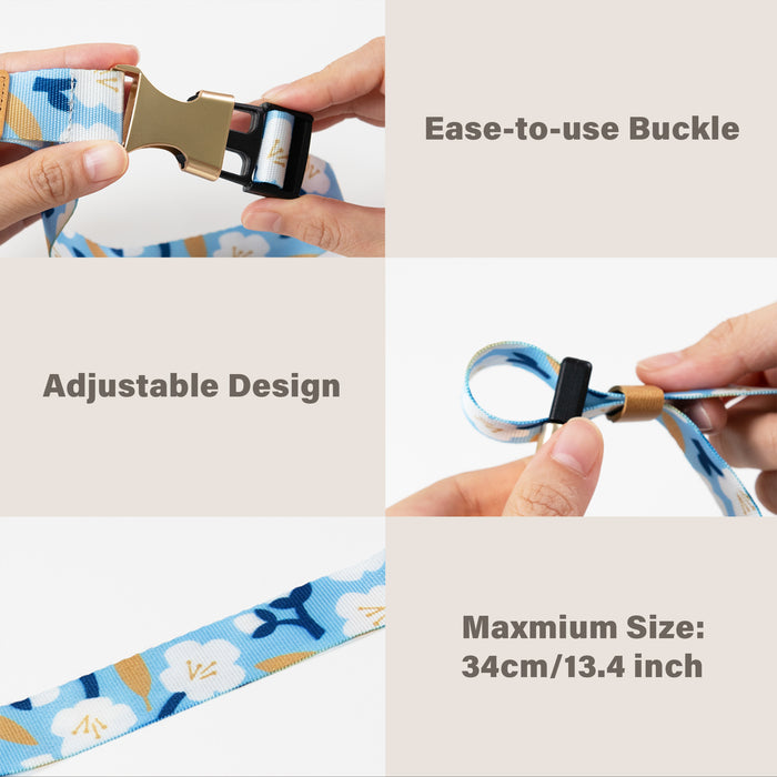 Traveler’s Must-Have Set A