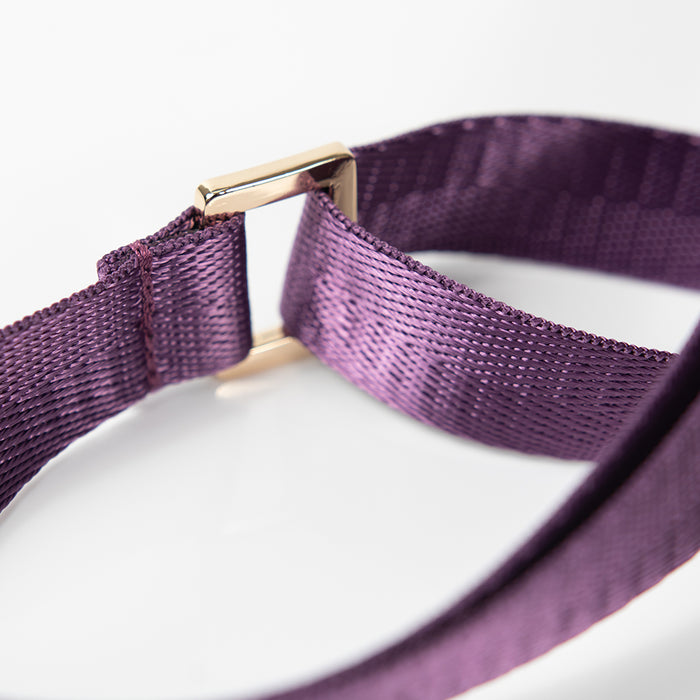Double Hook Nylon Strap