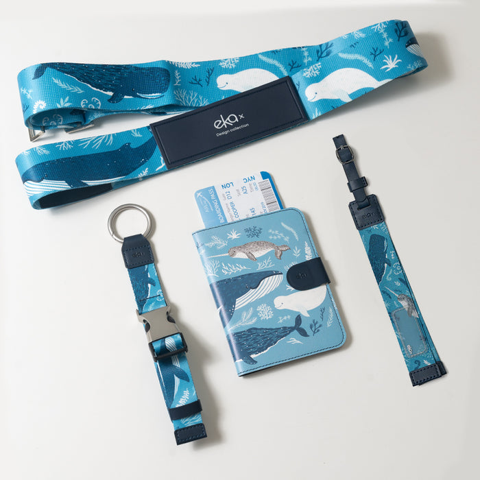 Traveler’s Must-Have Set B
