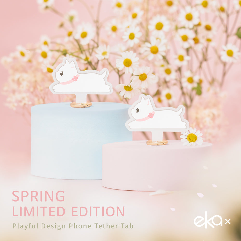 Spring Limited Edition 