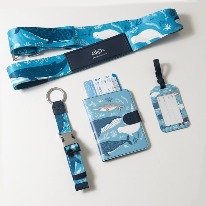 Traveler’s Must-Have Set B